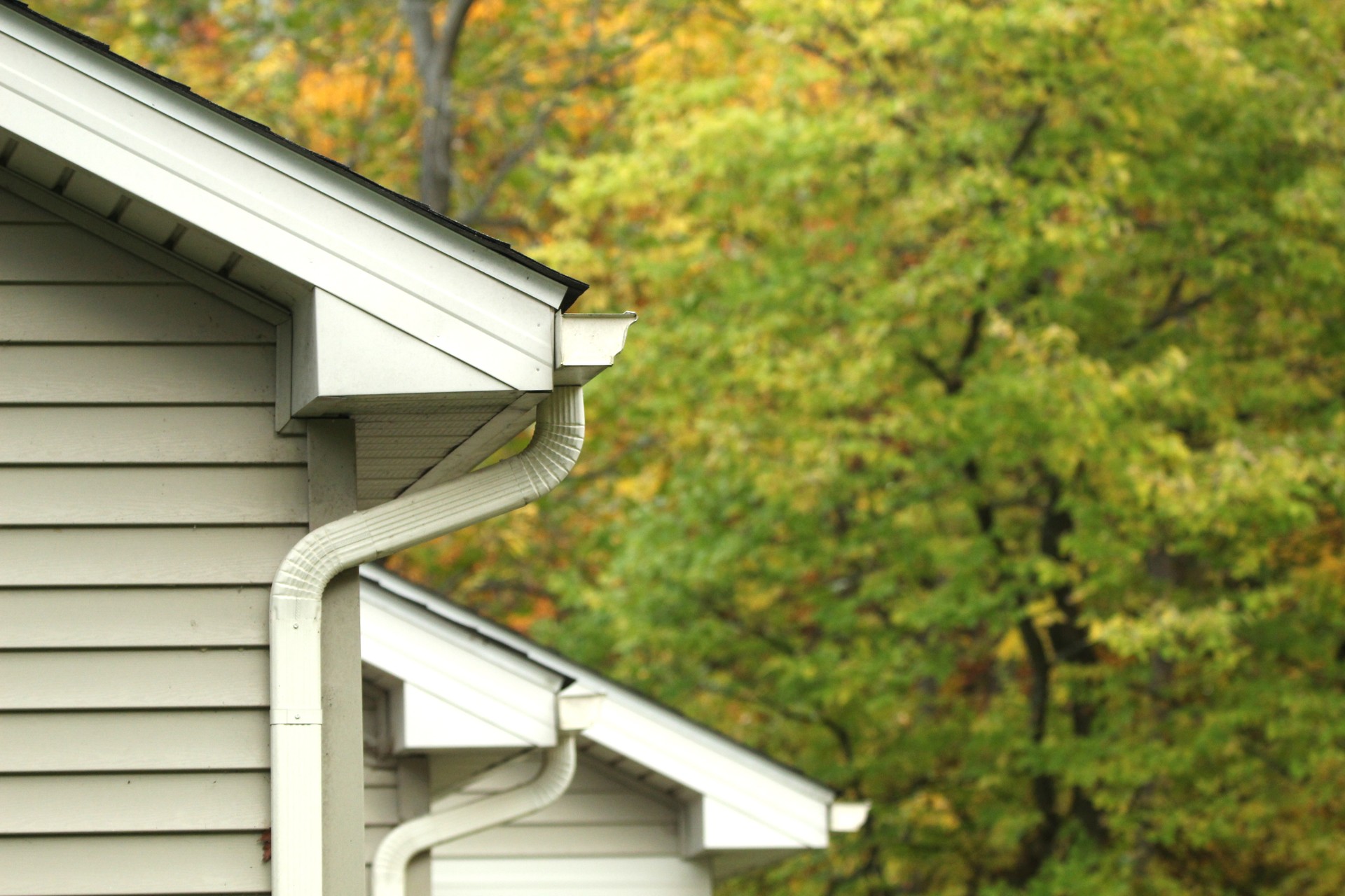 House Gutter Downspout Roof Soffit Siding Fascia